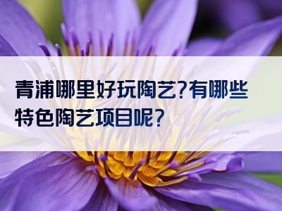 青浦哪里好玩陶艺？有哪些特色陶艺项目呢？