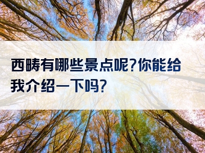 西畴有哪些景点呢？你能给我介绍一下吗？