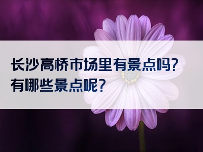 长沙高桥市场里有景点吗？有哪些景点呢？