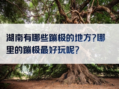 湖南有哪些蹦极的地方？哪里的蹦极最好玩呢？
