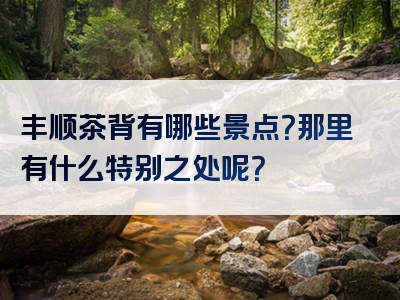 丰顺茶背有哪些景点？那里有什么特别之处呢？