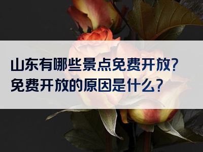 山东有哪些景点免费开放？免费开放的原因是什么？