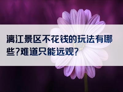 漓江景区不花钱的玩法有哪些？难道只能远观？