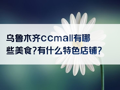 乌鲁木齐ccmall有哪些美食？有什么特色店铺？