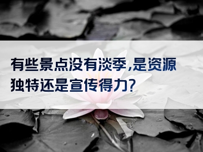 有些景点没有淡季，是资源独特还是宣传得力？