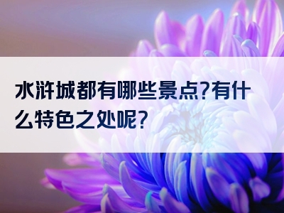 水浒城都有哪些景点？有什么特色之处呢？