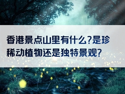 香港景点山里有什么？是珍稀动植物还是独特景观？