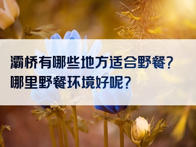 灞桥有哪些地方适合野餐？哪里野餐环境好呢？