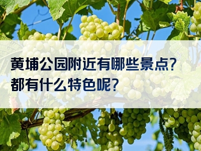黄埔公园附近有哪些景点？都有什么特色呢？