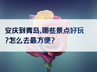 安庆到青岛，哪些景点好玩？怎么去最方便？