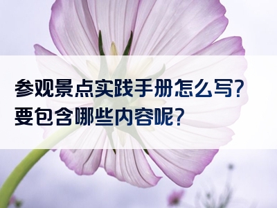 参观景点实践手册怎么写？要包含哪些内容呢？