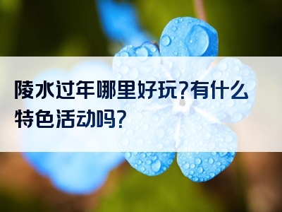 陵水过年哪里好玩？有什么特色活动吗？