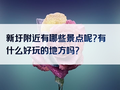 新圩附近有哪些景点呢？有什么好玩的地方吗？