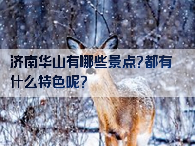 济南华山有哪些景点？都有什么特色呢？