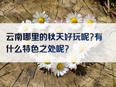 云南哪里的秋天好玩呢？有什么特色之处呢？