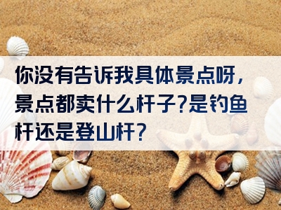 你没有告诉我具体景点呀，景点都卖什么杆子？是钓鱼杆还是登山杆？