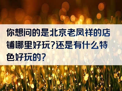 你想问的是北京老凤祥的店铺哪里好玩？还是有什么特色好玩的？