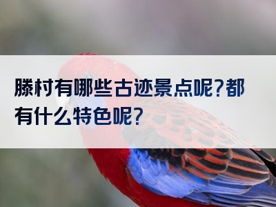 滕村有哪些古迹景点呢？都有什么特色呢？