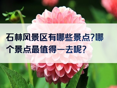 石林风景区有哪些景点？哪个景点最值得一去呢？