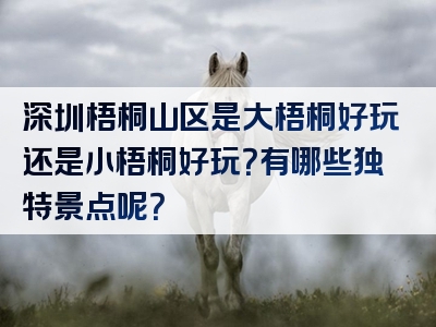 深圳梧桐山区是大梧桐好玩还是小梧桐好玩？有哪些独特景点呢？