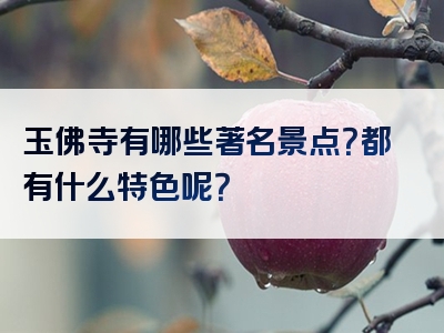 玉佛寺有哪些著名景点？都有什么特色呢？