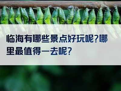 临海有哪些景点好玩呢？哪里最值得一去呢？
