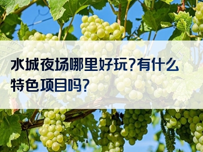 水城夜场哪里好玩？有什么特色项目吗？