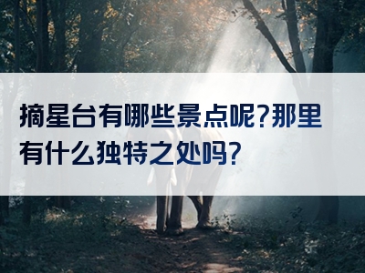 摘星台有哪些景点呢？那里有什么独特之处吗？