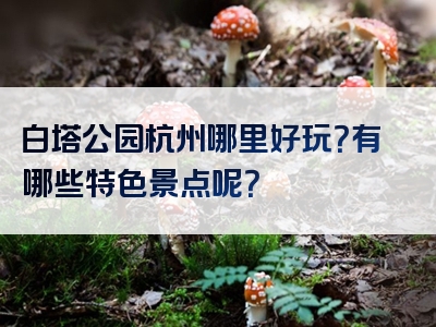白塔公园杭州哪里好玩？有哪些特色景点呢？
