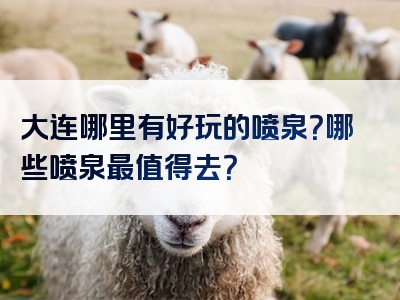 大连哪里有好玩的喷泉？哪些喷泉最值得去？