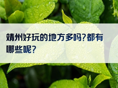 靖州好玩的地方多吗？都有哪些呢？