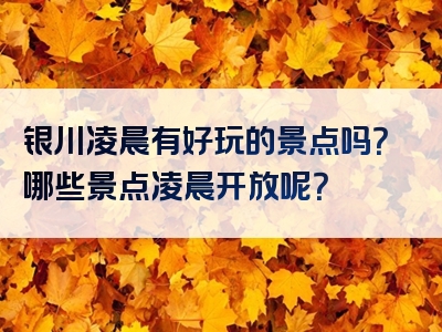 银川凌晨有好玩的景点吗？哪些景点凌晨开放呢？