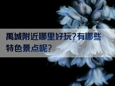 禹城附近哪里好玩？有哪些特色景点呢？