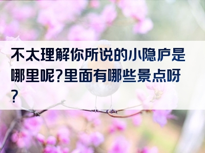 不太理解你所说的小隐庐是哪里呢？里面有哪些景点呀？