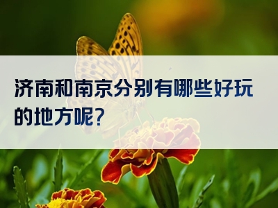 济南和南京分别有哪些好玩的地方呢？