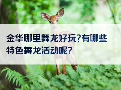 金华哪里舞龙好玩？有哪些特色舞龙活动呢？