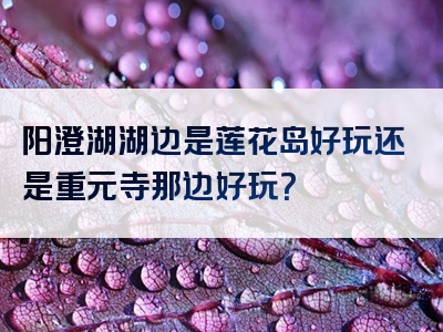 阳澄湖湖边是莲花岛好玩还是重元寺那边好玩？