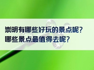 崇明有哪些好玩的景点呢？哪些景点最值得去呢？