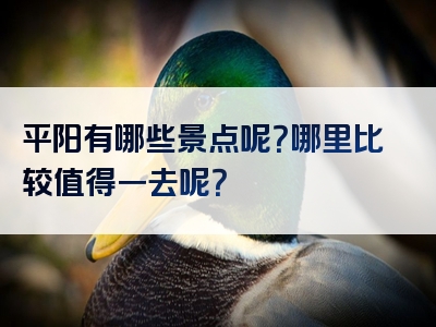 平阳有哪些景点呢？哪里比较值得一去呢？