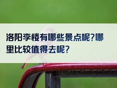 洛阳李楼有哪些景点呢？哪里比较值得去呢？