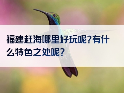 福建赶海哪里好玩呢？有什么特色之处呢？