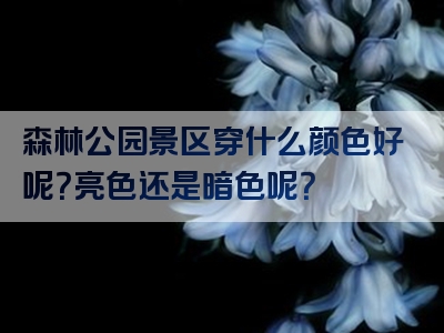 森林公园景区穿什么颜色好呢？亮色还是暗色呢？
