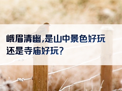 峨眉清幽，是山中景色好玩还是寺庙好玩？