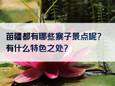苗疆都有哪些寨子景点呢？有什么特色之处？