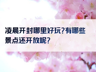 凌晨开封哪里好玩？有哪些景点还开放呢？