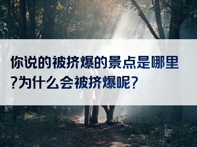 你说的被挤爆的景点是哪里？为什么会被挤爆呢？