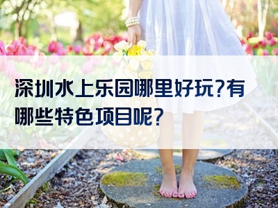 深圳水上乐园哪里好玩？有哪些特色项目呢？
