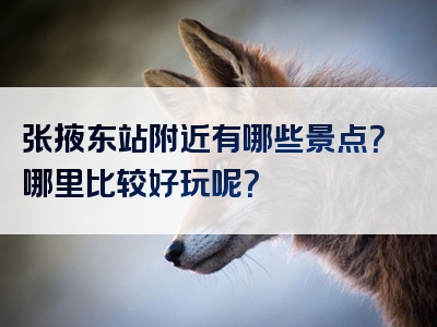 张掖东站附近有哪些景点？哪里比较好玩呢？