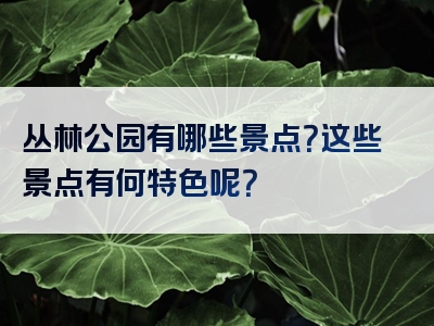 丛林公园有哪些景点？这些景点有何特色呢？