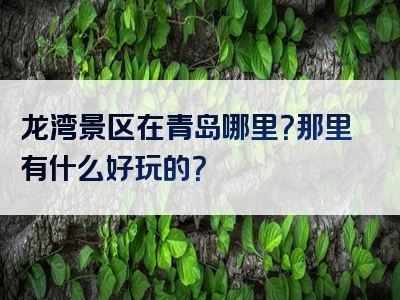 龙湾景区在青岛哪里？那里有什么好玩的？